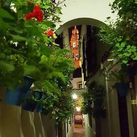 Tu Casa En Facil Aparcamiento * Cordoba